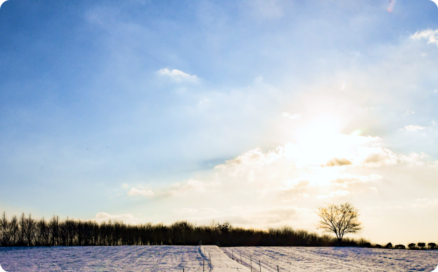 태신목장 이미지